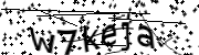 Anti-Bot verification code image
